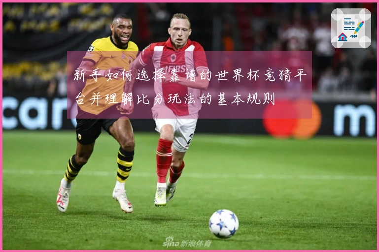 新手如何选择靠谱的世界杯竞猜平台并理解比分玩法的基本规则