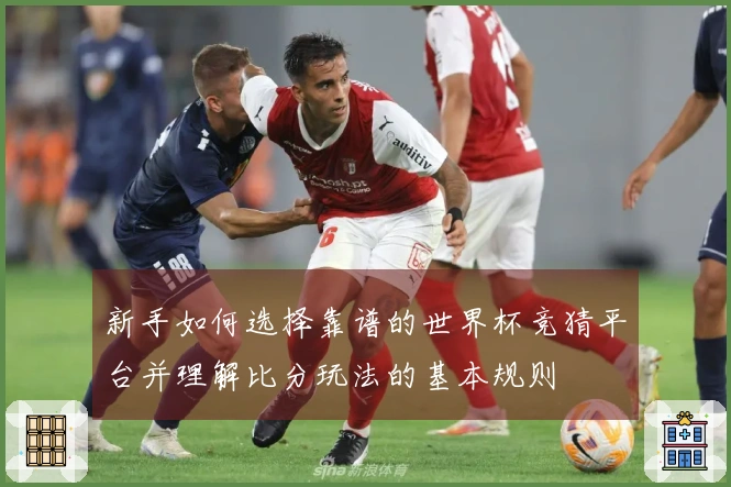 新手如何选择靠谱的世界杯竞猜平台并理解比分玩法的基本规则