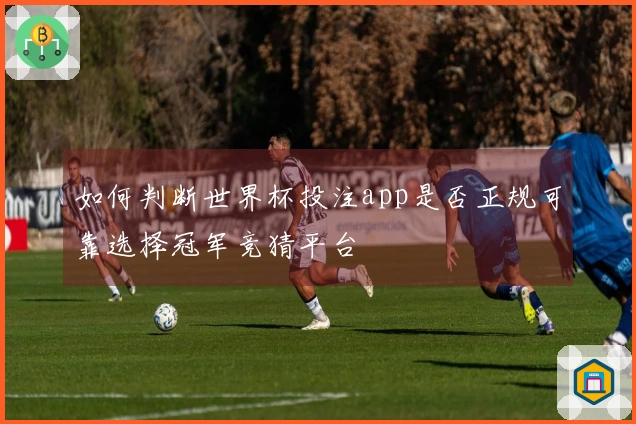 如何判断世界杯投注app是否正规可靠选择冠军竞猜平台
